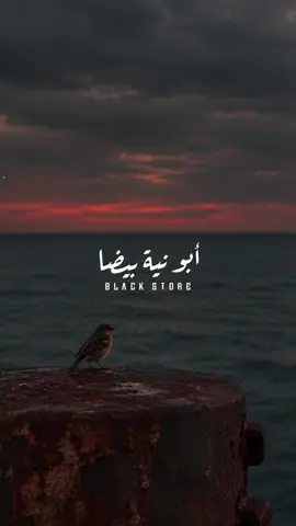 أنا عاللي فوق مسنود 🤍 #fyp #foryou #foryoupage #ترند #حالات_واتس 