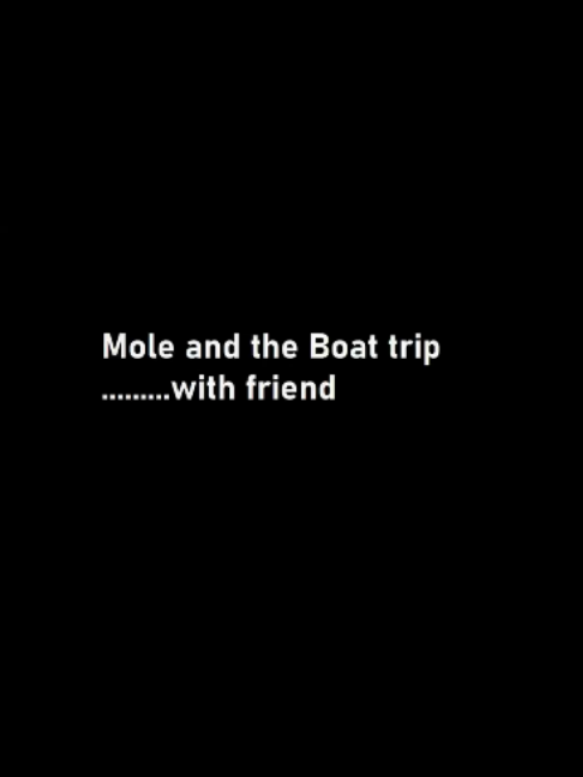 On Twitch : Mole, the boat trip and a honeypack
