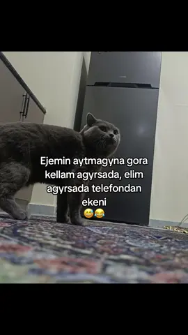 like repost 😂 #turkmenistan🇹🇲 #Sobee 