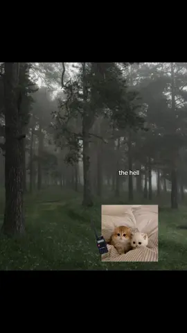 Scary