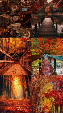 LOVE October LOVE autumn 🍁 🍂🍁❤️🧡💛🤎 my favorite season 