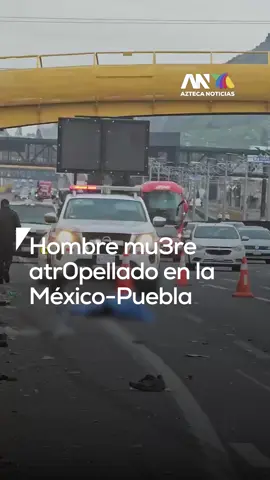 #ÚltimaHora 🔴 Un hombre mur1ó atr0pellado en la México-Puebla 🚨 El accidente ocurrió en los carriles centrales, cerca de Eje 10, con dirección a #Chalco, #Edomex. Testigos señalaron que el conductor de un auto gris no logró esquivar al peatón ⚠️ Guardia Nacional (@gn_mexico_) y CAPUFE (@capufe_mex) mantuvieron acordonado el carril derecho 🚧 Con información de Martín Sánchez 📹 . . . #México #Puebla #Autopista #AlertaVial México Puebla Autopista AlertaVial