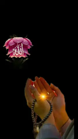 دعاء يوم الاثنين 🍀❤️🌿 اللهم اجعل يوم الاثنين🍀❤️🌿#اللهم #اميــــــــن #دعاء_يوم_الاثنين #دعاء_يريح_القلوب #🤲🤲🤲 