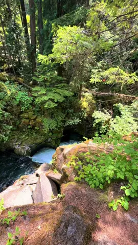 Just lost in nature  #random #Hiking #green #waterfall #nature 