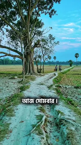 আজ সোমবার। ২৬শে অক্টোবর, ২০২৬ খ্রিস্টাব্দ। ১০ই কার্তিক, ১৪৩৩ বঙ্গাব্দ। ১৪ই জমাদিউল আউয়াল, ১৪৪৮ হিজরি। ঋতু পরিক্রমায় এখন হেমন্তকাল। 🌅 আজ সূর্যোদয়: সকাল ৫:৫৯ মিনিটে এবং 🌇 সূর্যাস্ত: সন্ধ্যা ৫:২২ মিনিটে। আজকের দিনটি আপনার জন্য বরকতপূর্ণ হোক।