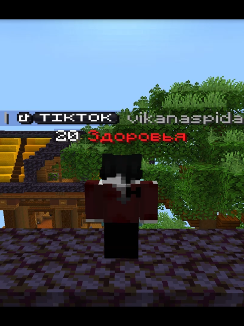 mc.wellmine.fun // моggаю веллмайн #wellmine #Minecraft #майнкрафт