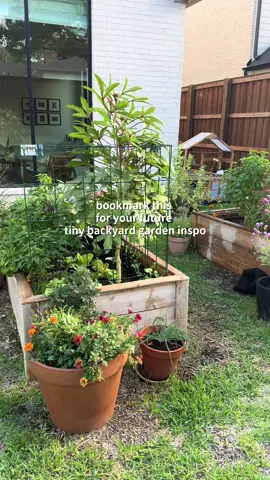 Slow Sunday spent admiring my October garden  #gardening #diygarden #texasgarden #fallgarden #gardeningtiktok small garden inspo, backyard garden, tiny garden space, garden hobby, Dallas zone 8b fall garden 
