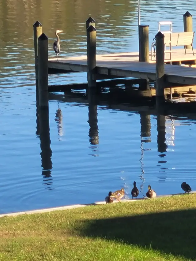Many feathered friends visiting today. Happy Sunday 😃