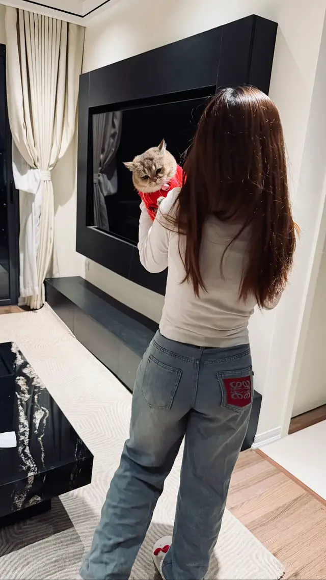 tôi thì không thể bị thay thế đâu, chúc may mắn nhé 😂