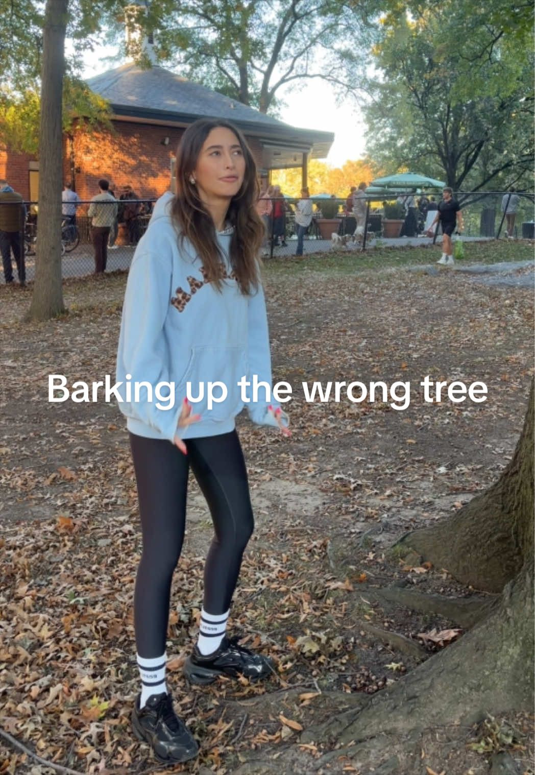 Barking up the wrong tree 