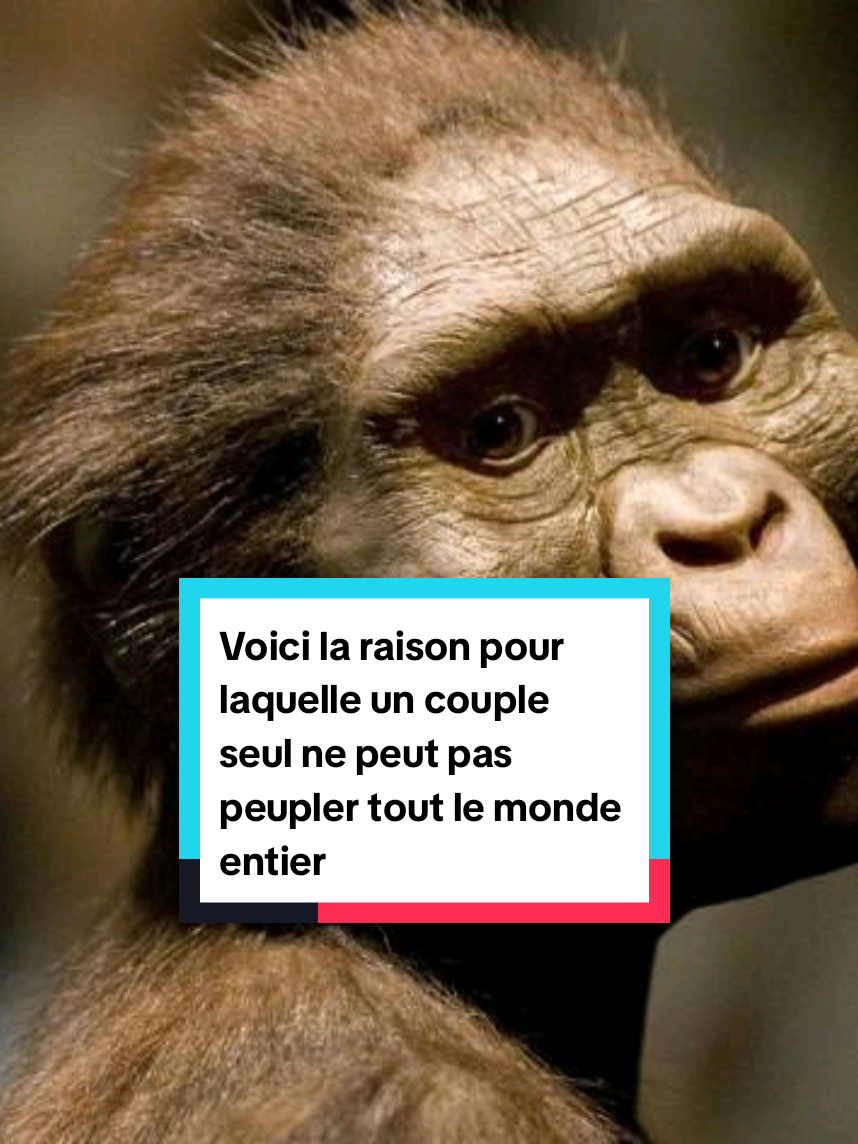 Voici la raison pour laquelle 1 couple seul ne peut pas peupler tout le monde entier!#conscience #spiritualité 