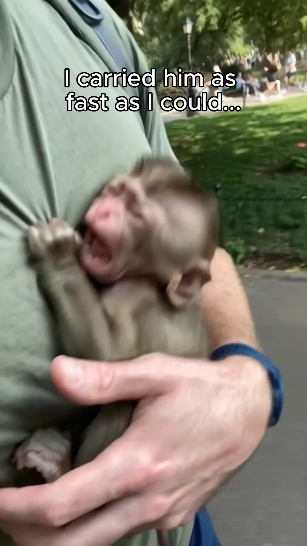 Xavi: 📎 0919(9).mp4 🐒💔 ALL HE WANTED WAS A SECOND CHANCE… 🥺❤️ A desperate mama monkey approached a couple, hoping someone would help her tiny baby… but they turned her away. 💔😭 Then she came to me. 🥹🐒 She placed her precious little baby in my hands, and I promised I’d do everything I could to save him. ❤️‍🩹 I rushed him to the vet, where I discovered he had several broken ribs. 🏥💔 He needed emergency surgery, but this little fighter never gave up! 💪🐵❤️ During his recovery, he held onto his tiny panda plushie 🐼🥺, ate bananas 🍌, and slowly got his strength back. Before long, he was playing in the garden with my black cat! 🐈‍⬛😂 Their little friendship was the cutest thing ever. 🥹❤️ But one stormy night, everything changed… 🌧️⚡ The baby monkey started crying at the window, and when I looked outside, I couldn’t believe my eyes… HIS MOM WAS STANDING OUTSIDE IN THE RAIN, LOOKING RIGHT AT HIM. 😭💔🐒 Will they finally be reunited? 🥺❤️ 👇 COMMENT “REUNITE THEM” IF YOU WANT TO SEE WHAT HAPPENS NEXT! 🐒💞 #MonkeyRescue #BabyMonkey #AnimalRescue 