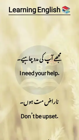 Daily use sentences English to Urdu|  learning English speaking English Easy English improve your English Advanced English  #unfreezemyacount #fypviraltiktok #learnenglish #speakingenglish #Dailyenglish 
