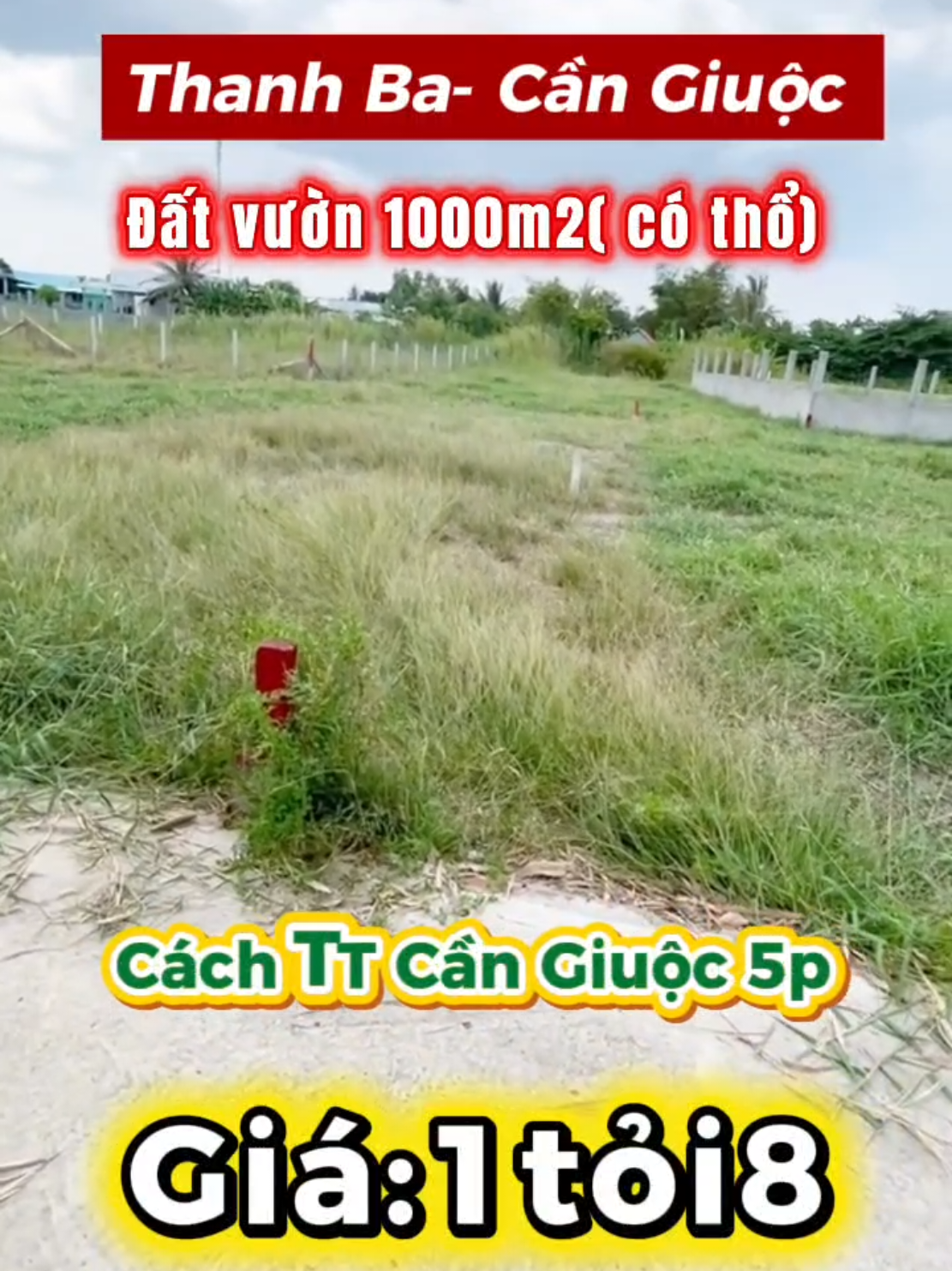 1000m2 có thổ ở Thanh Ba Cần Giuộc nha. Cô chú anh chị quan tâm liên hệ cho em nha @356/40-2898 #nhavuon #datthocu #datcangiuoc #datlongan #viralvideo 