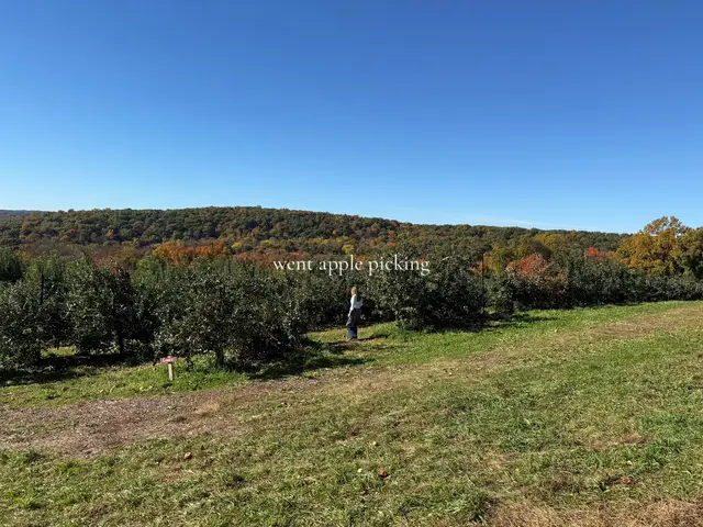 🍂🍂🍎