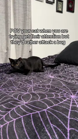 Thanks, I guess? I’d prefer your cuddles tho 😭 #funnycatvideos #shadowthelilvoid #catdancing #catdance #catsoftiktok 