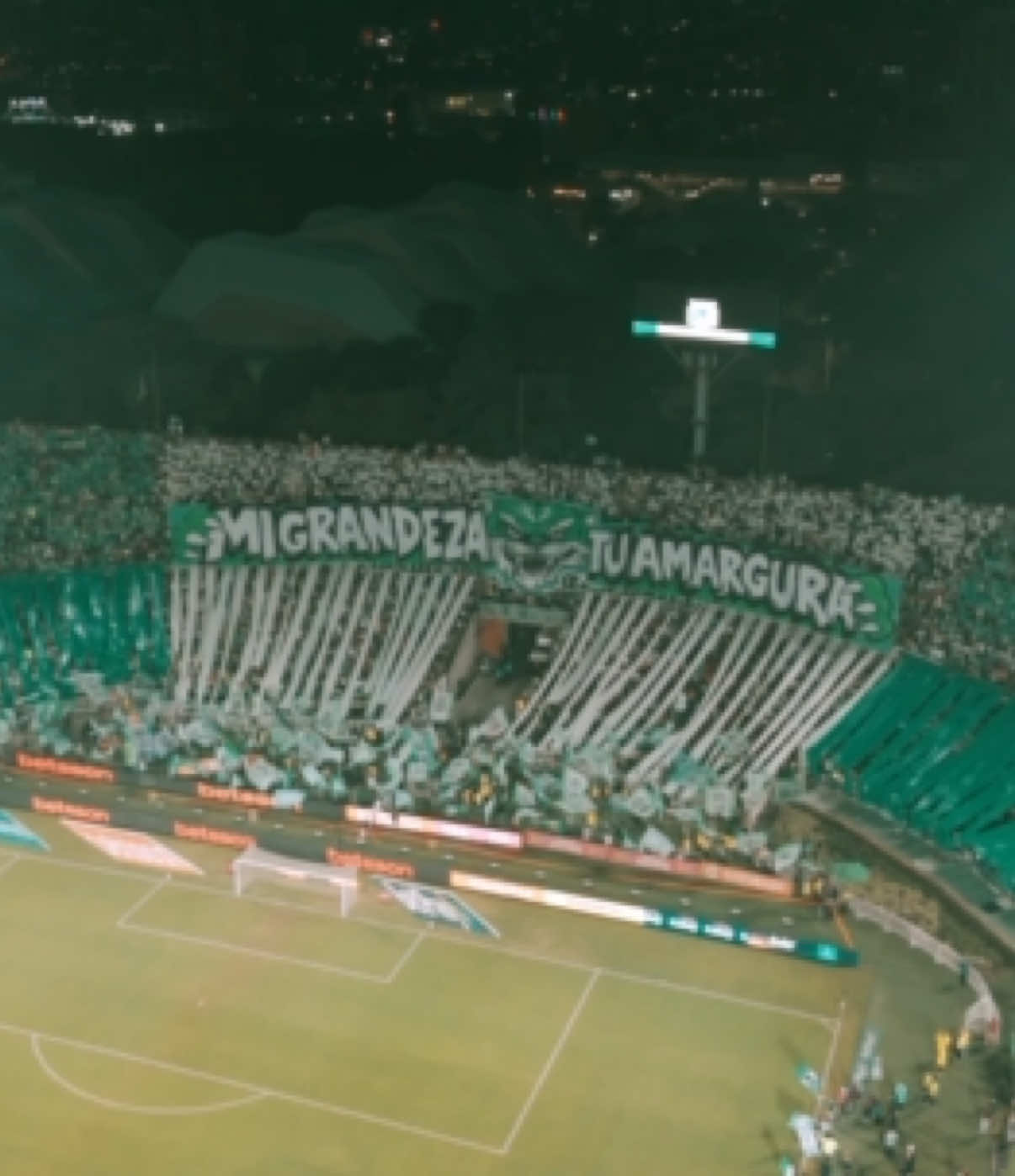La grandeza de estos colores, que llenan de fiesta el Atanasio 🇳🇬  Así fue el recibimiento de nuestra gente en una noche de Clásico Paisa por Liga 👏  #VamosTodosJuntos