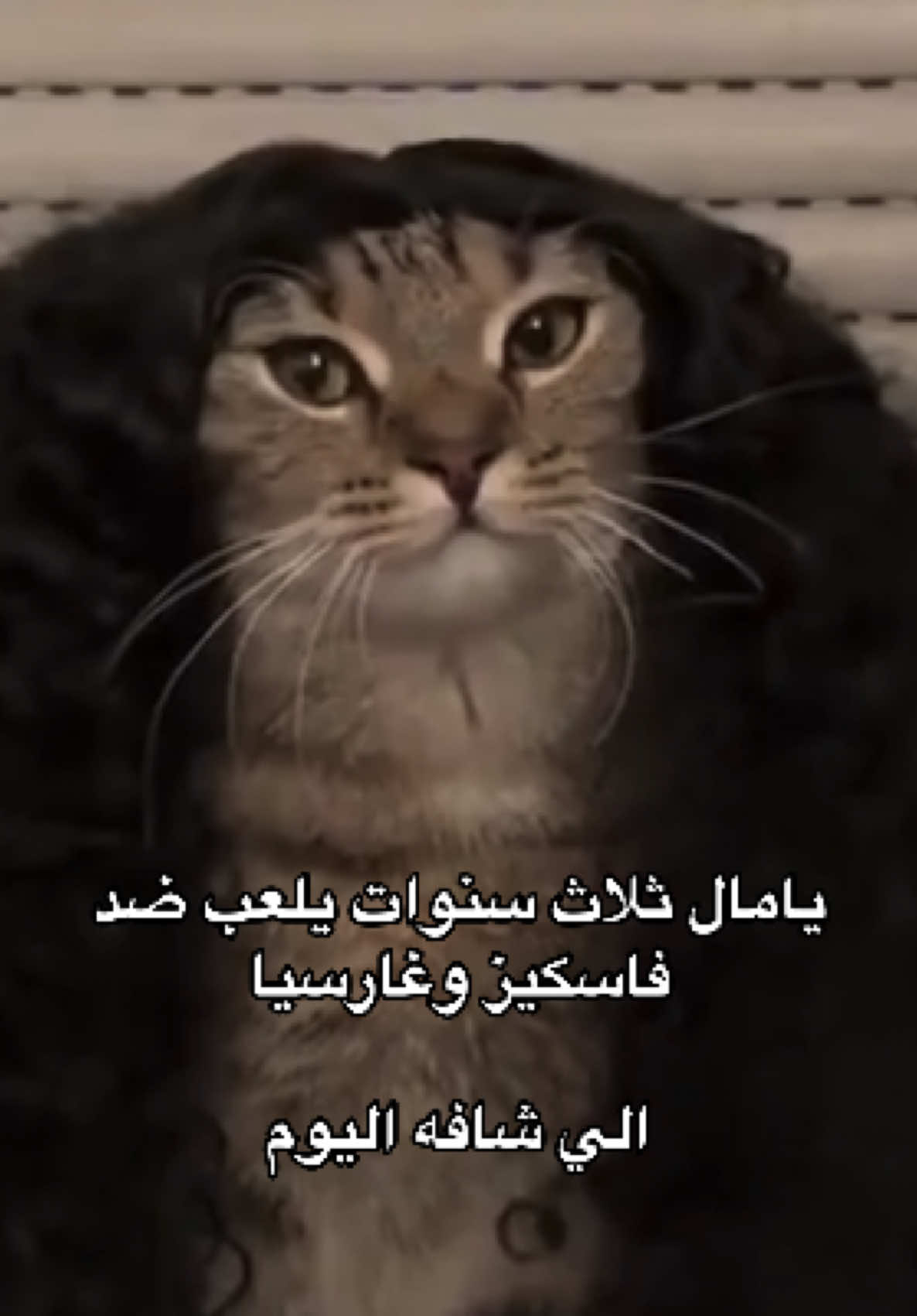 #كوكوريا #ريال_مدريد #realmadrid #fyp #fypシ 