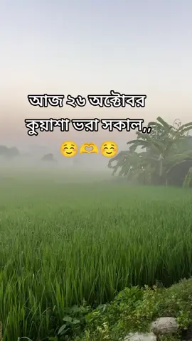 আজ ২৬ অক্টোবর কুয়াশা ভরা সকাল #foryou #tiktok #viralvideo 