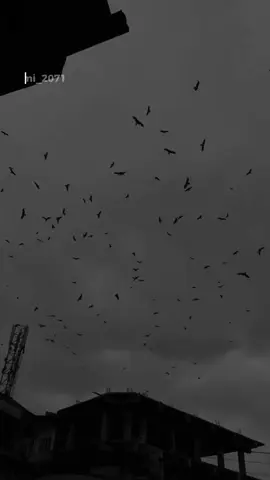 🙂‍↕️                                                           #aesthetic #sad #vibes 