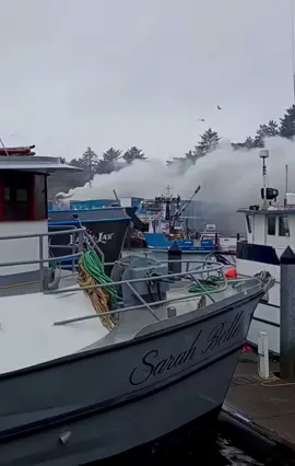 NEWPORT BAYFRONT FIRE: LATEST UPDATE Emergency crews continue battling the fire at Pacific Seafood in Newport after the initial call came in at 8:51 a.m. The fire remains active, and the Bayfront area is still closed to the public. Officials report that everyone inside the building at the time of the fire has been accounted for. No civilian injuries have been reported, although one firefighter received treatment for exhaustion. One major concern was the possibility of an ammonia release from the facility’s refrigeration system. Fire crews have since reduced that risk. Small amounts of ammonia were detected in the smoke earlier in the day, but officials say the levels were not harmful. No effects on marine wildlife have been observed so far. Smoke continues to linger over Newport, and residents are encouraged to limit outdoor exposure. Those who must go outside should consider wearing a mask to reduce exposure to smoke. The emergency response has involved approximately 60 firefighters and 15 emergency vehicles, with support from surrounding fire departments, hazardous materials specialists, law enforcement, emergency management teams, and other agencies. The Bayfront will remain closed until officials determine it is safe to reopen. Residents and visitors should avoid the affected area and watch for further updates as crews continue their work.