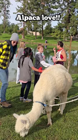Our alpacas are just as much apart of our classes as much as our goats!! #goatyoga 