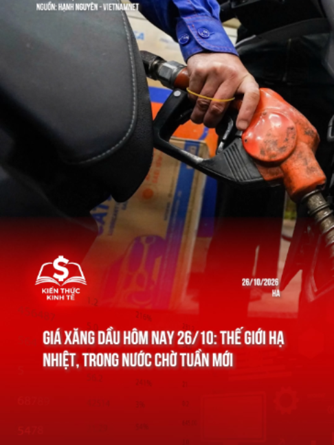 Giá xăng dầu hôm nay 26/10: Thế giới hạ nhiệt, trong nước chờ tuần mới #kienthuckinhte #kinhte #tiktoknews