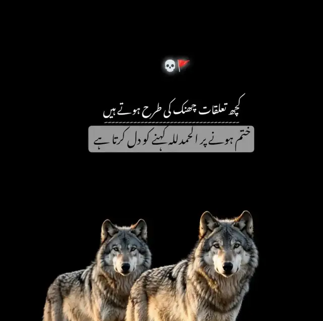 🍁:کچھ تعلقات چھینک کی طرح ہوتے ہیں ۔ ختم ہونے پر الحمدللہ کہنے کو دل کرتا ہے ۔ 😌لوٹ اؤ اور کہہ دو کہ بھٹک گئ تھی خدا کی قسم پھر سے اپنا لوں گا میں تمہیں