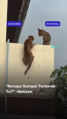 Macam besar je isu pergaduhan tuu  Sumber: Orang Awam  P/s: Video ini bukan milik OhBulan! dan kredit telah diberikan kepada pemilik asal. Jika anda ingin kami menurunkan video tersebut, sila hantarkan DM kepada kami dengan segera. Terima kasih! #ohbulan #kinitrending 