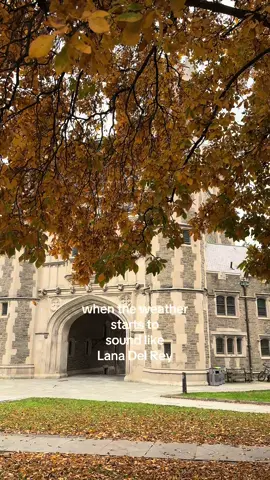 the ‘ber months are so LDR  #lanadelrey #autumnaesthetic #fallaesthetic 