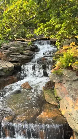 #aseathetic #NatureLover #NatureTok #natureisbeautiful #foryou 
